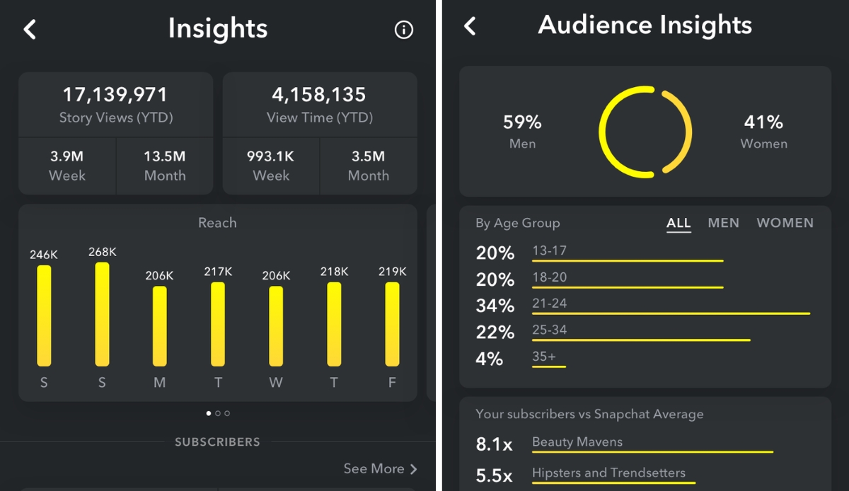 Snapchat Audience Insights
