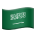 🇸🇦