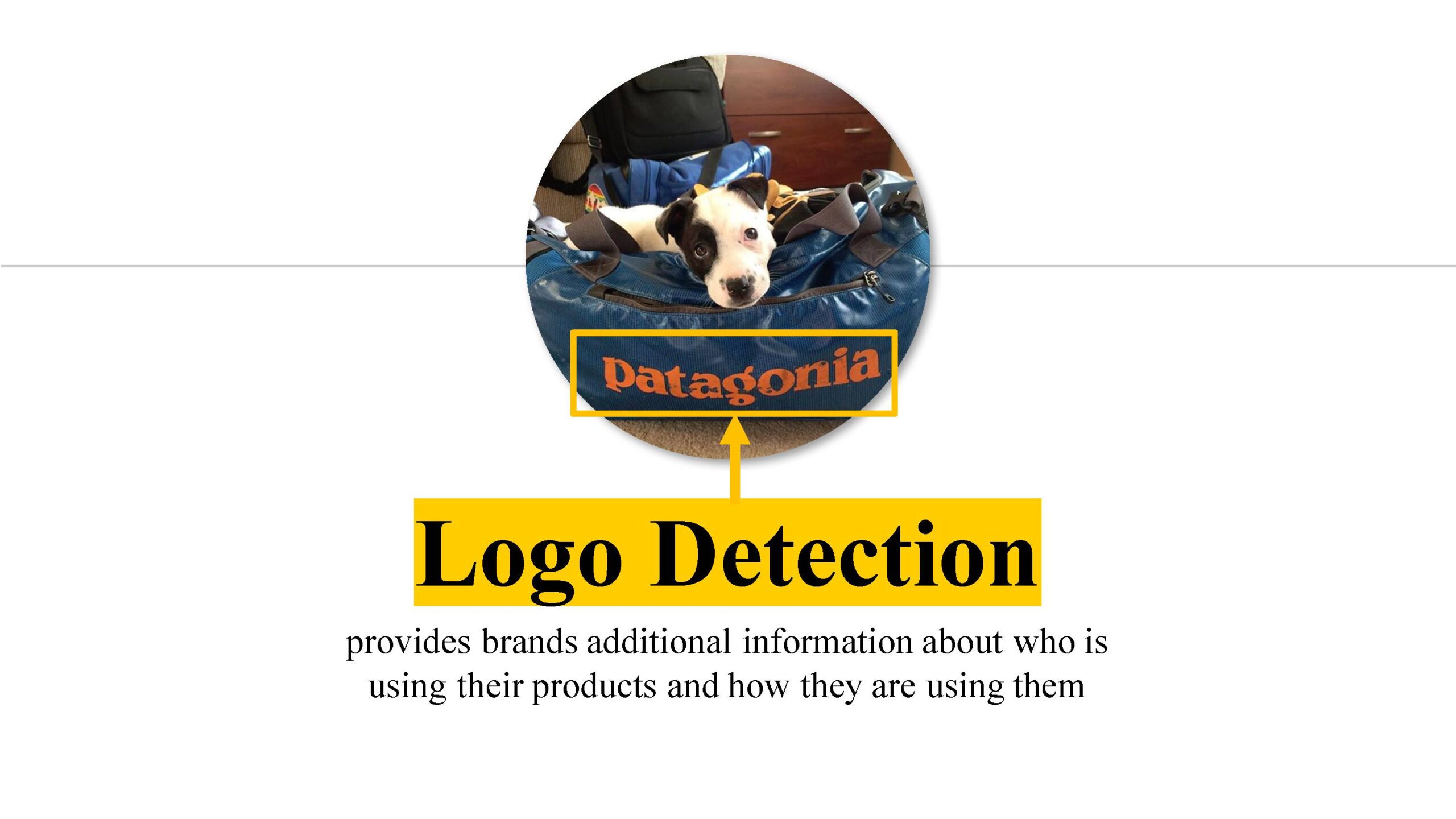 Computer Vision Logo Detection