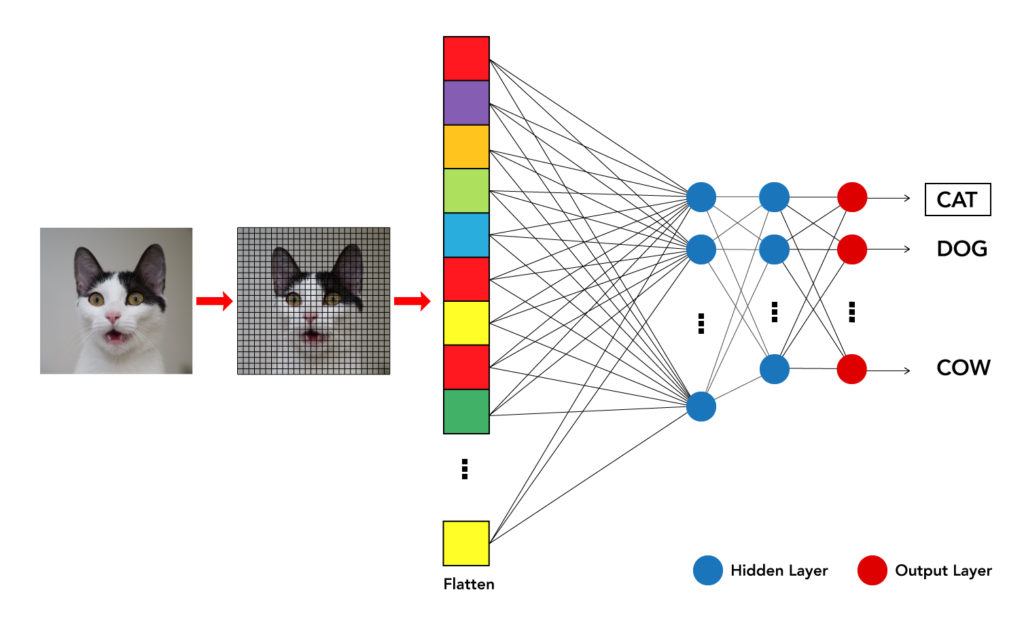 AI Image Recognition
