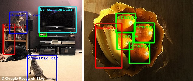 Image Recognition Tools