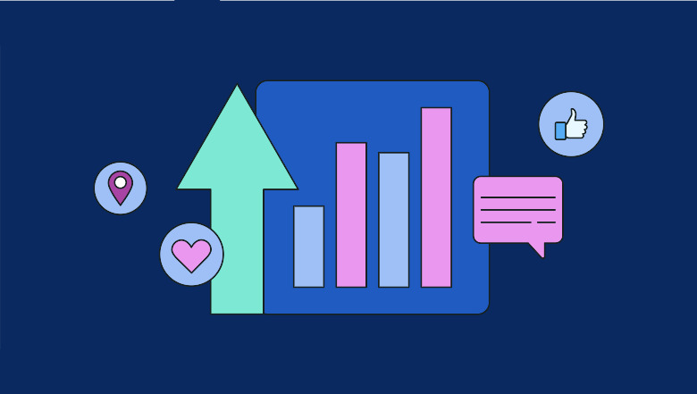 Social Media Audience Analytics