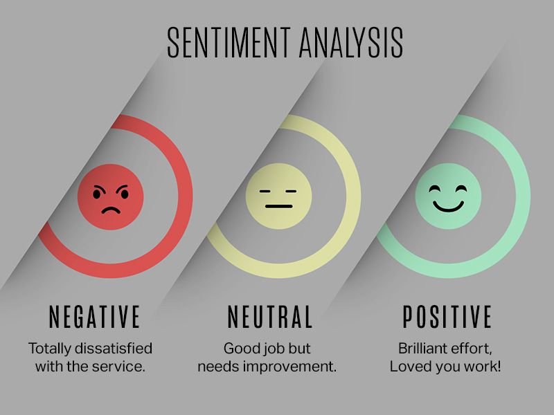 Sentiment Analysis Techniques