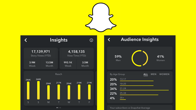 Snapchat Audience Insights