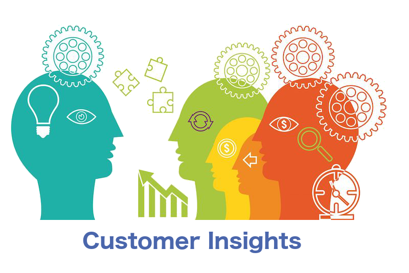 What is Customer Insight